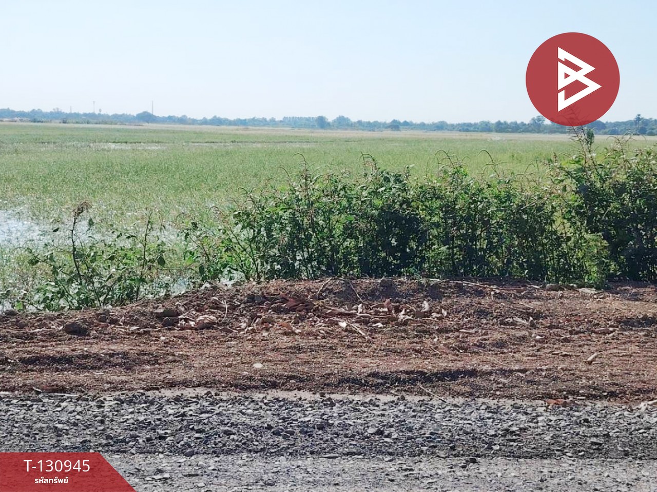 ขายที่ดิน เนื้อที่ 5 ไร่ 28 ตารางวา ต.บ้านขวาง อ.มหาราช พระนครศรีอยุธยา 8