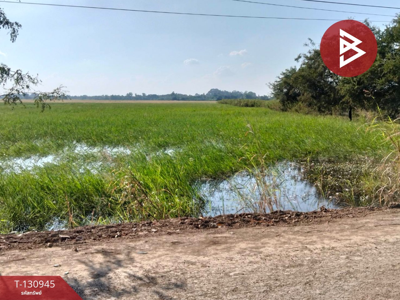 ขายที่ดิน เนื้อที่ 5 ไร่ 28 ตารางวา ต.บ้านขวาง อ.มหาราช พระนครศรีอยุธยา 4