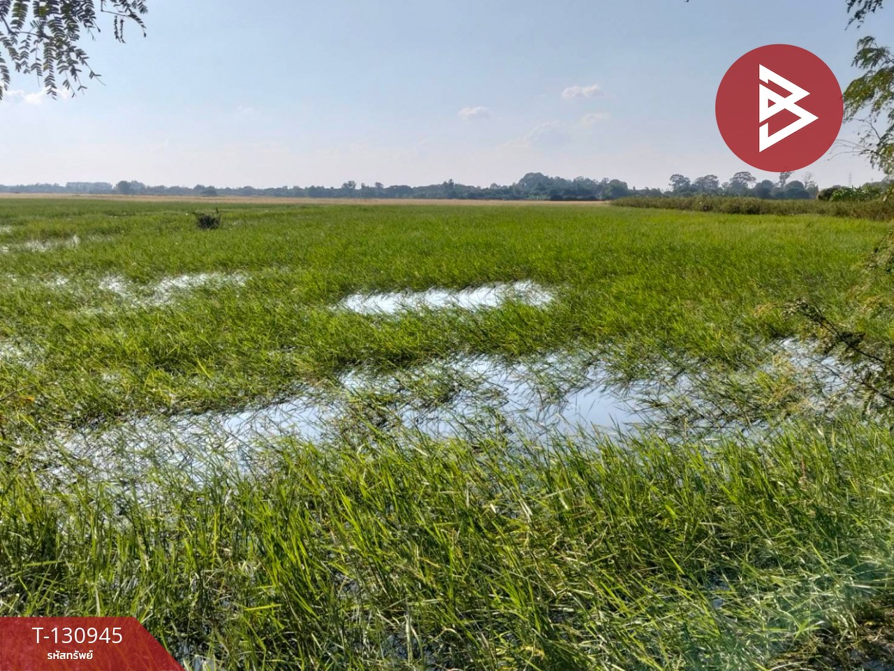 ขายที่ดิน เนื้อที่ 5 ไร่ 28 ตารางวา ต.บ้านขวาง อ.มหาราช พระนครศรีอยุธยา 2