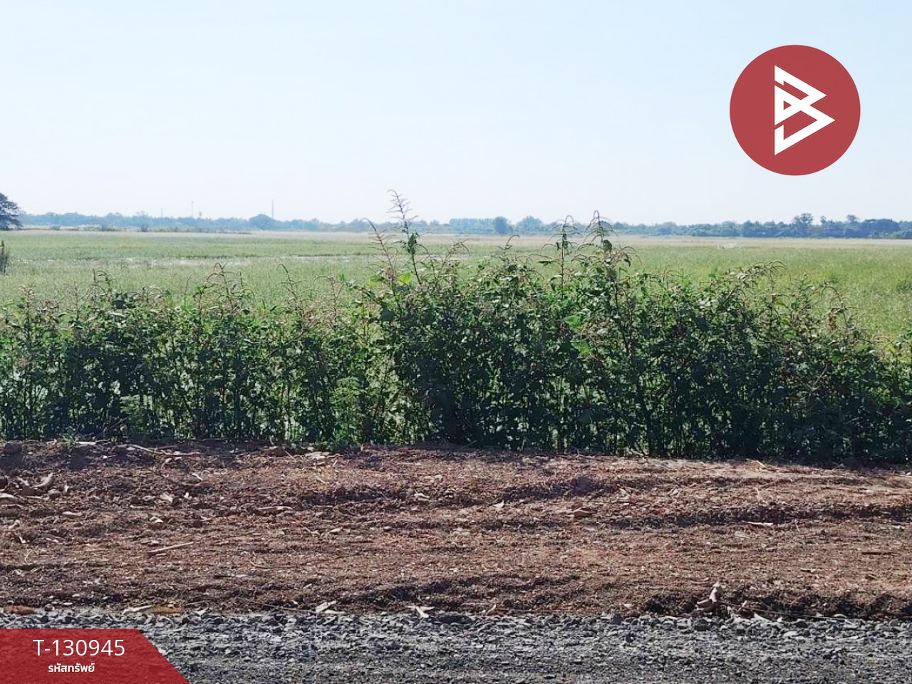 ขายที่ดิน เนื้อที่ 5 ไร่ 28 ตารางวา ต.บ้านขวาง อ.มหาราช พระนครศรีอยุธยา 9