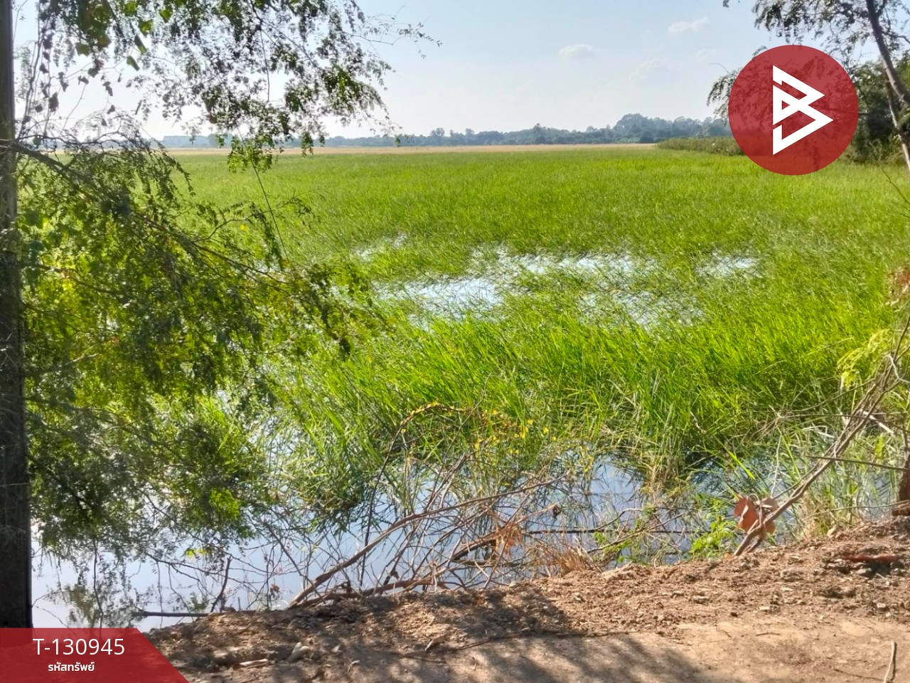 ขายที่ดิน เนื้อที่ 5 ไร่ 28 ตารางวา ต.บ้านขวาง อ.มหาราช พระนครศรีอยุธยา 5