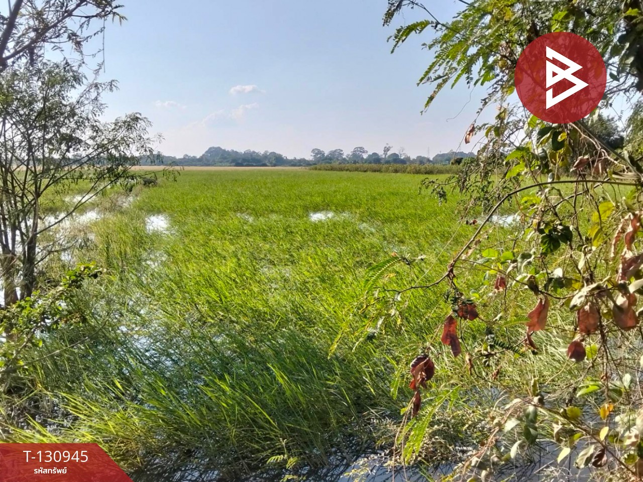 ขายที่ดิน เนื้อที่ 5 ไร่ 28 ตารางวา ต.บ้านขวาง อ.มหาราช พระนครศรีอยุธยา 3