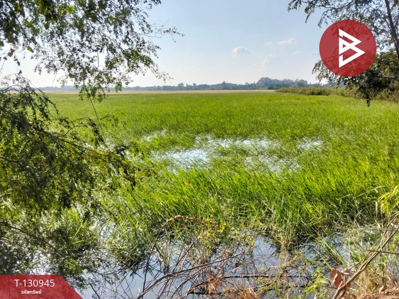 ขายที่ดิน เนื้อที่ 5 ไร่ 28 ตารางวา ต.บ้านขวาง อ.มหาราช พระนครศรีอยุธยา 7