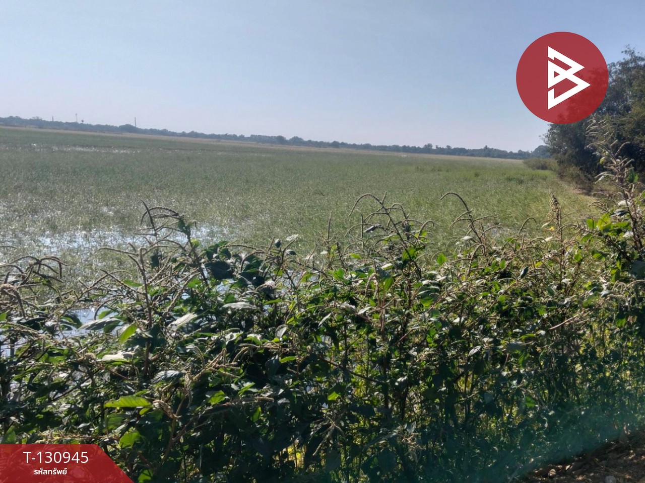 ขายที่ดิน เนื้อที่ 5 ไร่ 28 ตารางวา ต.บ้านขวาง อ.มหาราช พระนครศรีอยุธยา 11