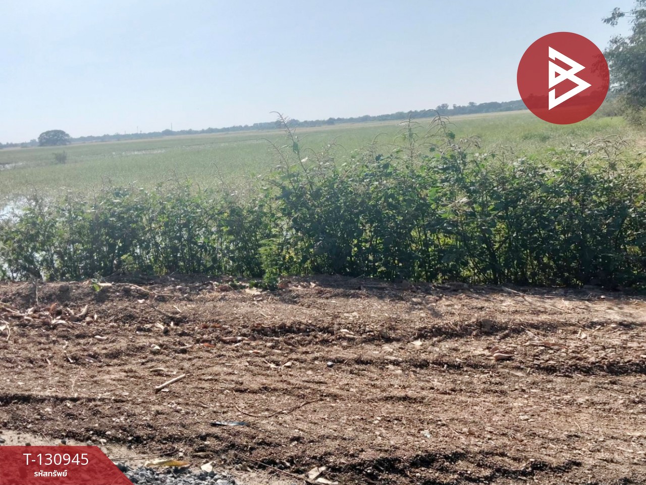 ขายที่ดิน เนื้อที่ 5 ไร่ 28 ตารางวา ต.บ้านขวาง อ.มหาราช พระนครศรีอยุธยา 10