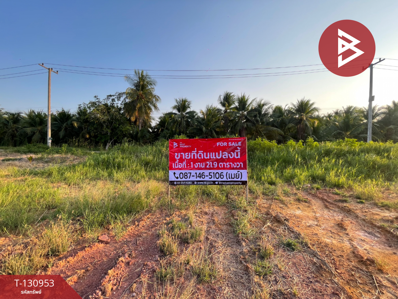 ขายที่ดิน เนื้อที่ 1 งาน 21.9 ตารางวา อัมพวา สมุทรสงคราม 6