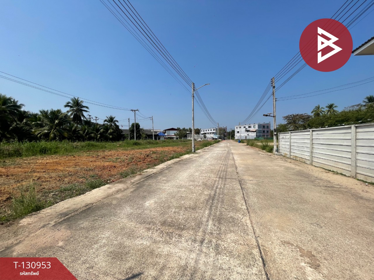 ขายที่ดิน เนื้อที่ 1 งาน 21.9 ตารางวา อัมพวา สมุทรสงคราม 2