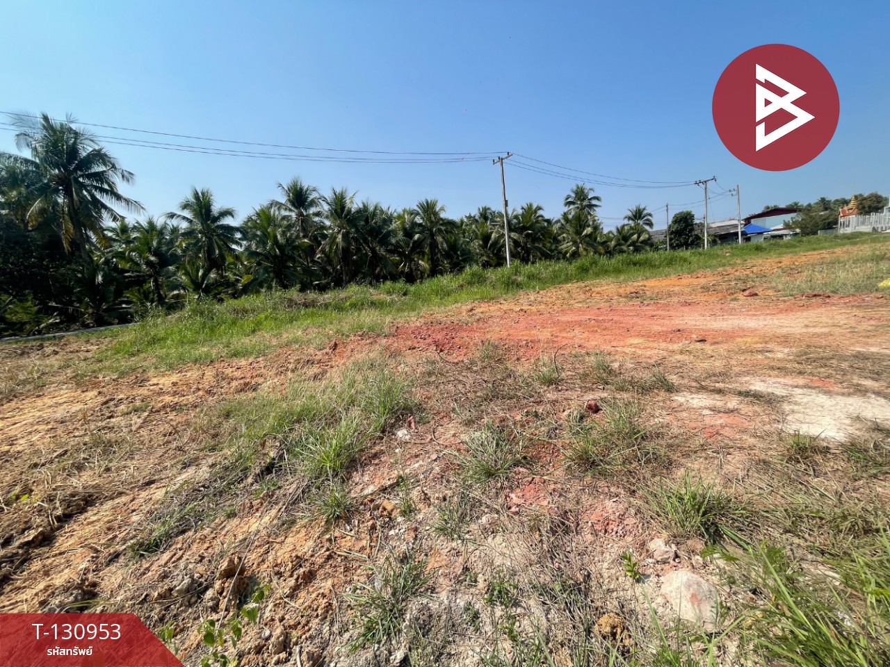 ขายที่ดิน เนื้อที่ 1 งาน 21.9 ตารางวา อัมพวา สมุทรสงคราม 5