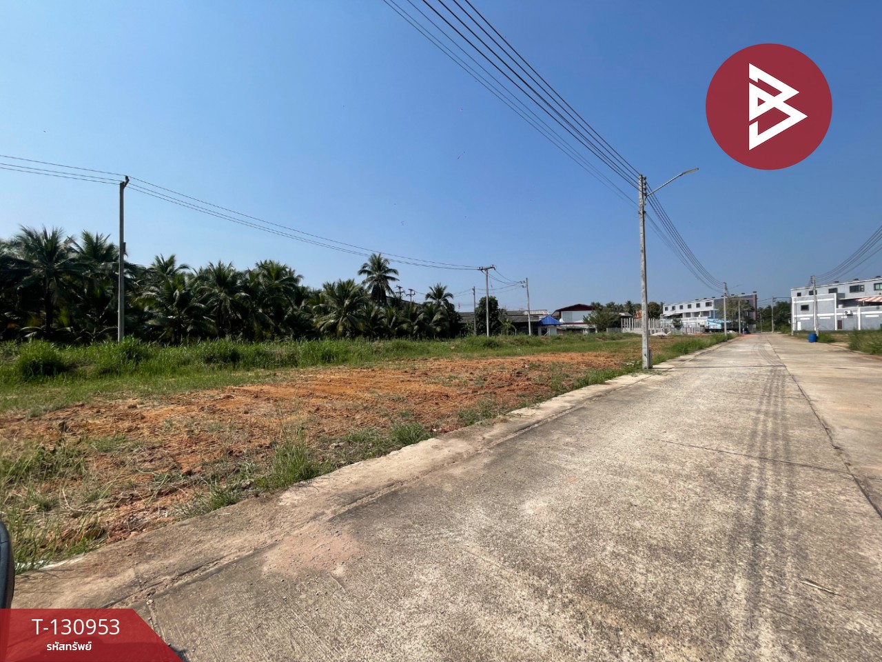 ขายที่ดิน เนื้อที่ 1 งาน 21.9 ตารางวา อัมพวา สมุทรสงคราม 3