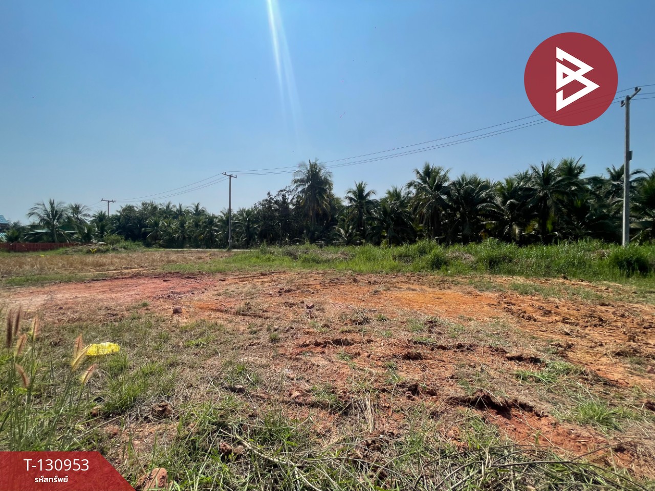 ขายที่ดิน เนื้อที่ 1 งาน 21.9 ตารางวา อัมพวา สมุทรสงคราม 4