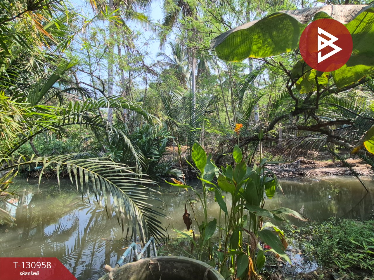 ขายบ้านเดี่ยวพร้อมที่ดิน เนื้อที่ 3 งาน 44 ตร.วา คลองเขิน สมุทรสงคราม 12