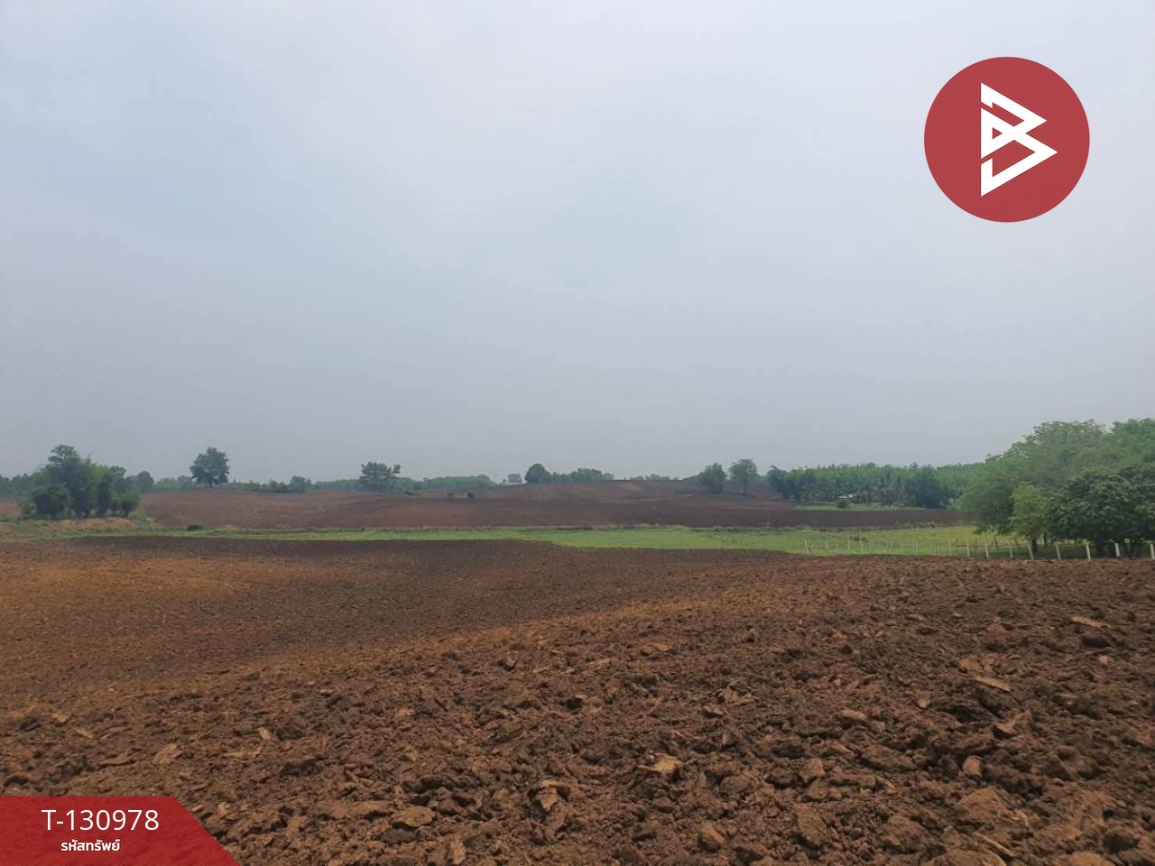 ขายที่ดิน เนื้อที่ 17 ไร่ 2 งาน 61 ตร.วา ห้วยสะแก เพชรบูรณ์ 2