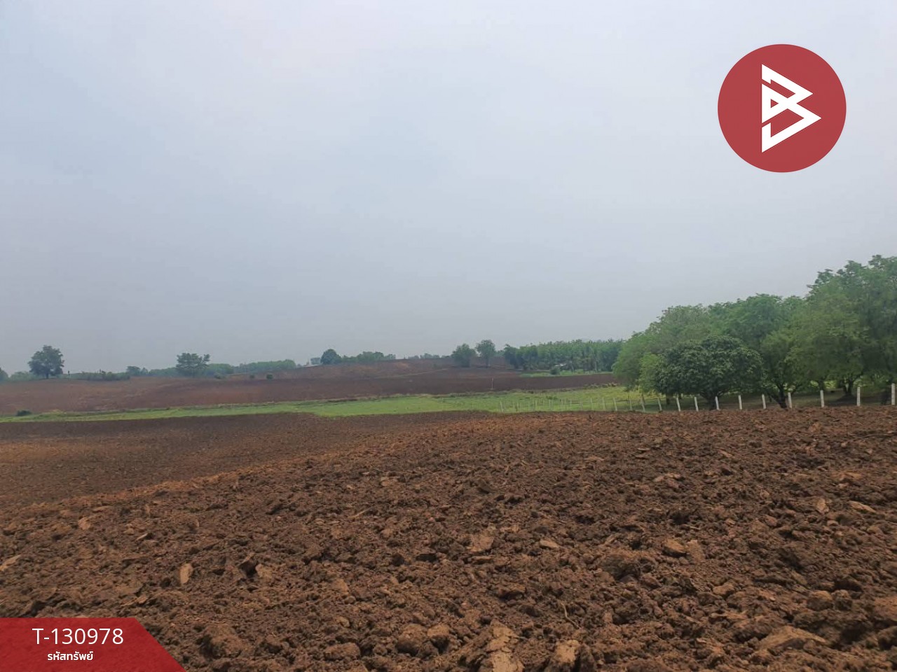 ขายที่ดิน เนื้อที่ 17 ไร่ 2 งาน 61 ตร.วา ห้วยสะแก เพชรบูรณ์ 3