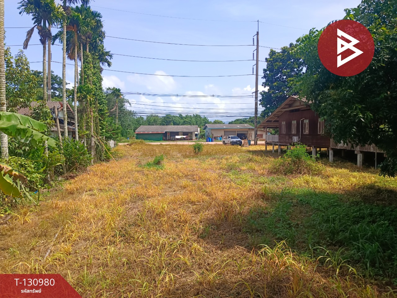 ขายที่ดินสวย เนื้อที่ 3 ไร่ 3 งาน 8.3 ตารางวา อ.แหลมงอบ จ.ตราด ใกล้ทะเล 2