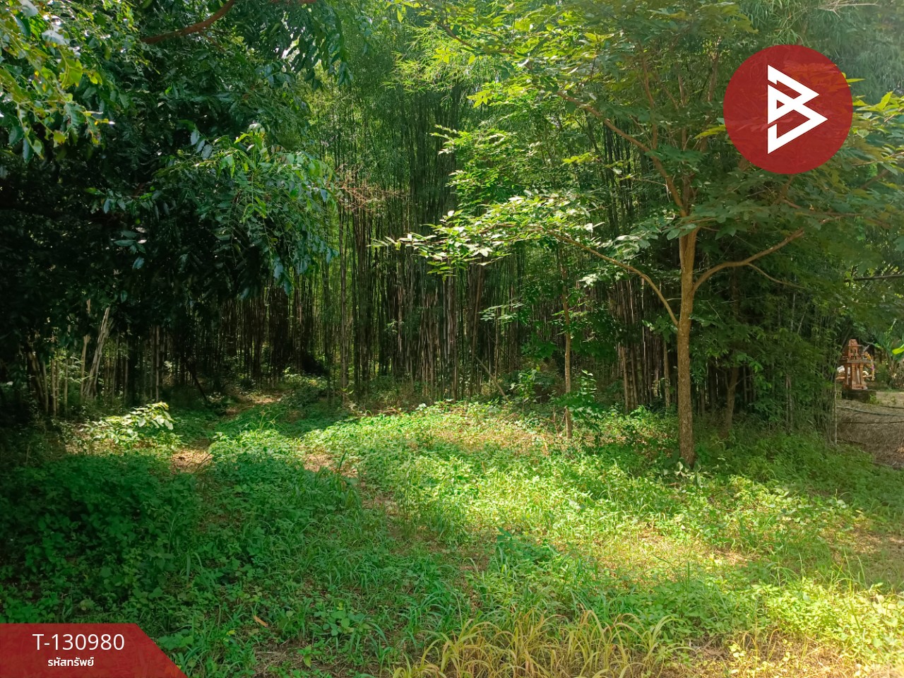 ขายที่ดินสวย เนื้อที่ 3 ไร่ 3 งาน 8.3 ตารางวา อ.แหลมงอบ จ.ตราด ใกล้ทะเล 7