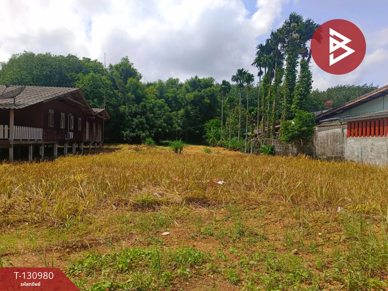 ขายที่ดินสวย เนื้อที่ 3 ไร่ 3 งาน 8.3 ตารางวา อ.แหลมงอบ จ.ตราด ใกล้ทะเล 1