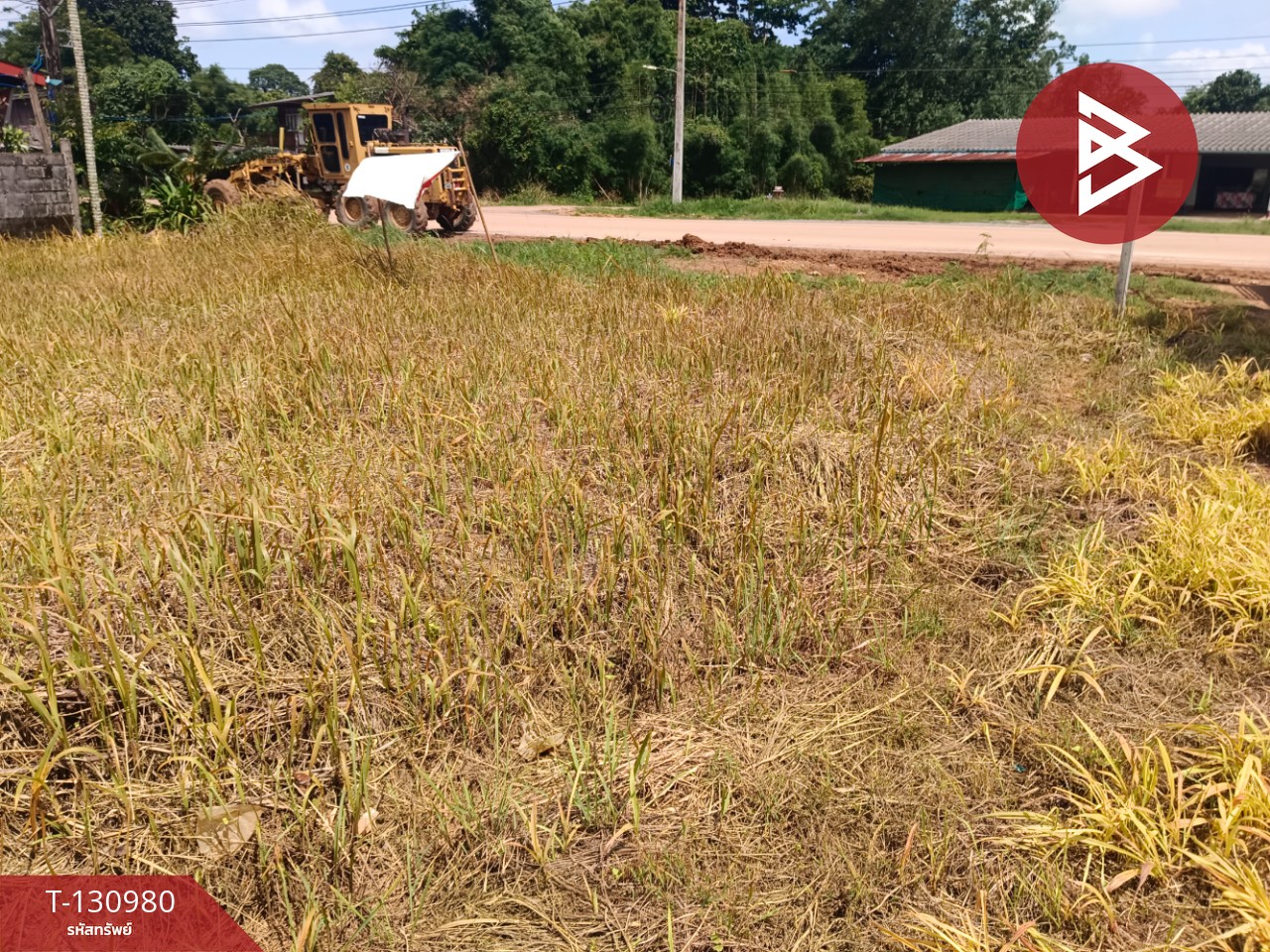 ขายที่ดินสวย เนื้อที่ 3 ไร่ 3 งาน 8.3 ตารางวา อ.แหลมงอบ จ.ตราด ใกล้ทะเล 3