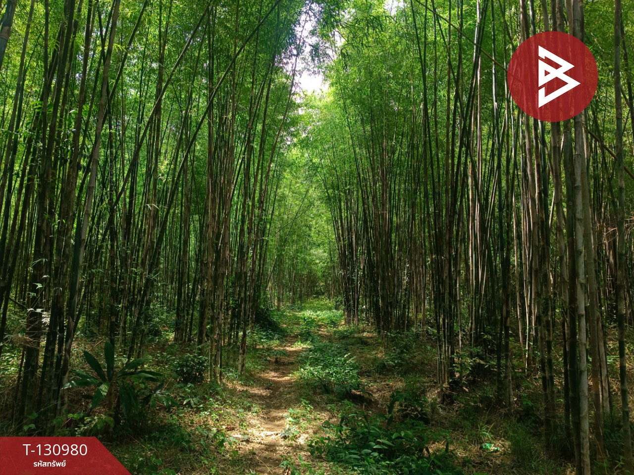 ขายที่ดินสวย เนื้อที่ 3 ไร่ 3 งาน 8.3 ตารางวา อ.แหลมงอบ จ.ตราด ใกล้ทะเล 6