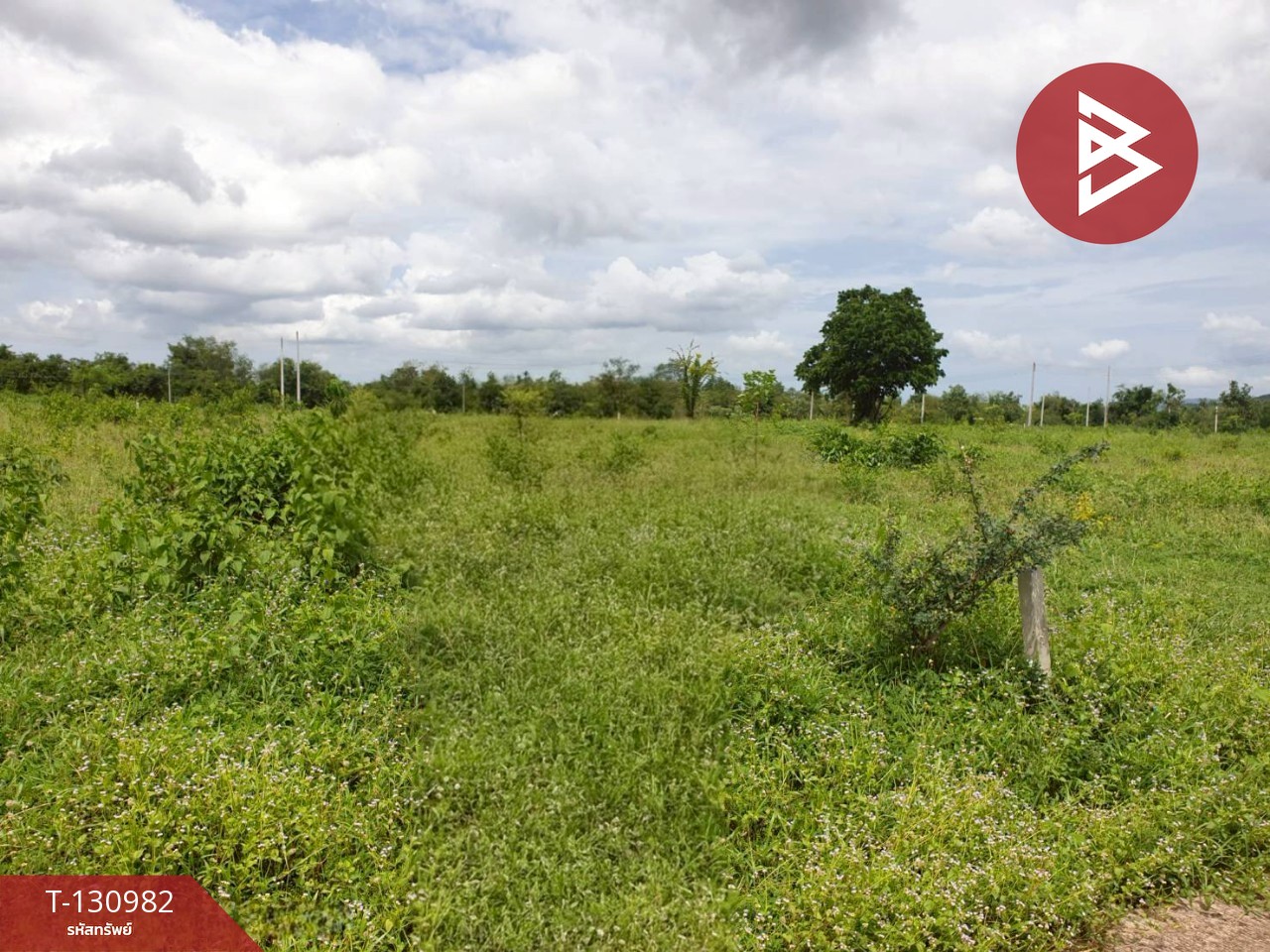 ขายที่ดินถมแล้ว เนื้อที่ 3 งาน แก่งกระจาน เพชรบุรี 5