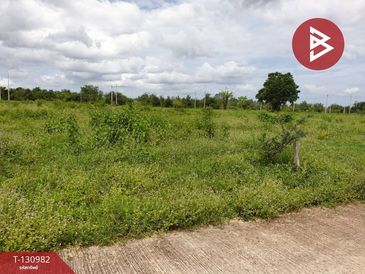 ขายที่ดินถมแล้ว เนื้อที่ 3 งาน แก่งกระจาน เพชรบุรี 4