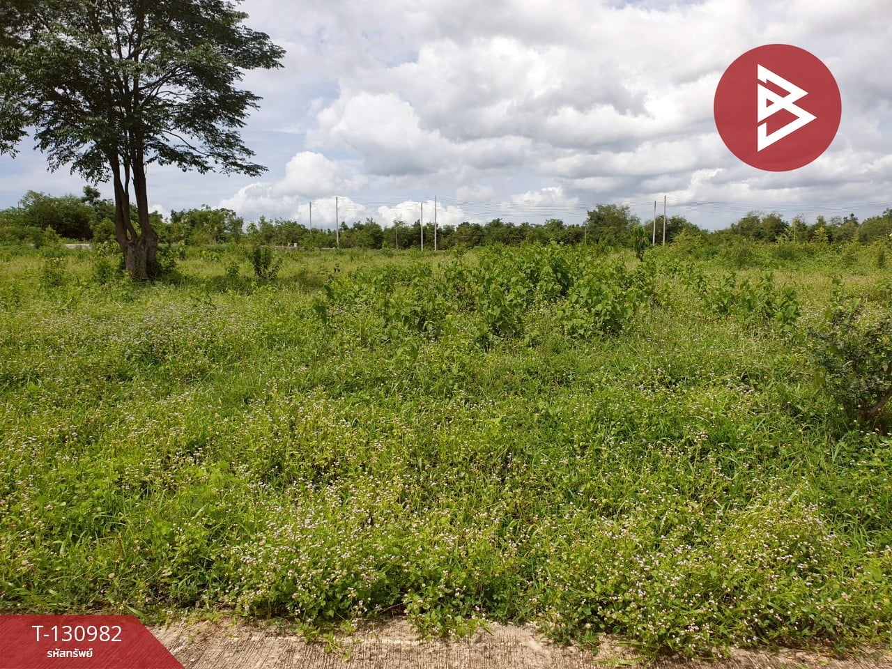 ขายที่ดินถมแล้ว เนื้อที่ 3 งาน แก่งกระจาน เพชรบุรี 3