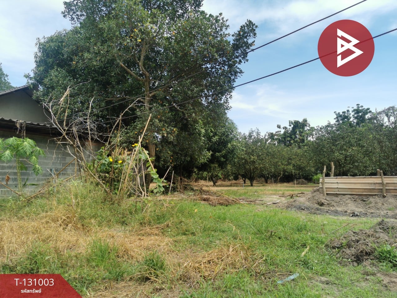 ขายที่ดิน เนื้อที่ 4 ไร่ 3 งาน 77 ตร.วา ศรีมหาโพธิ ปราจีนบุรี 4