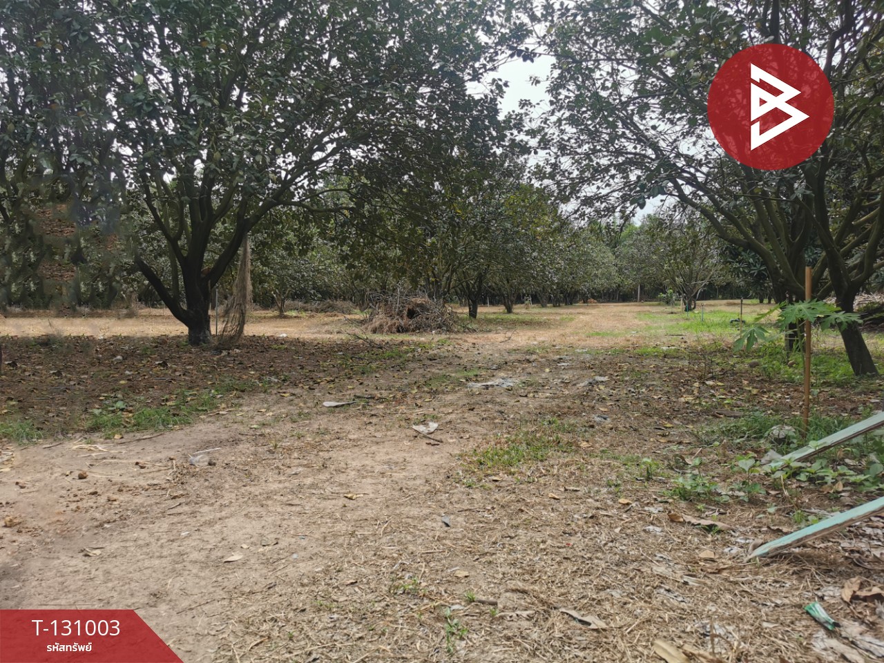 ขายที่ดิน เนื้อที่ 4 ไร่ 3 งาน 77 ตร.วา ศรีมหาโพธิ ปราจีนบุรี 7