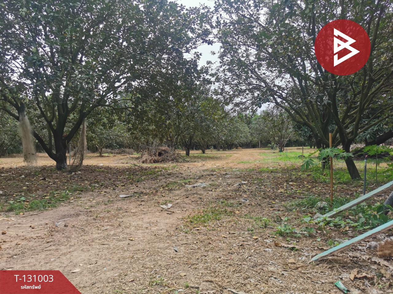 ขายที่ดิน เนื้อที่ 4 ไร่ 3 งาน 77 ตร.วา ศรีมหาโพธิ ปราจีนบุรี 12