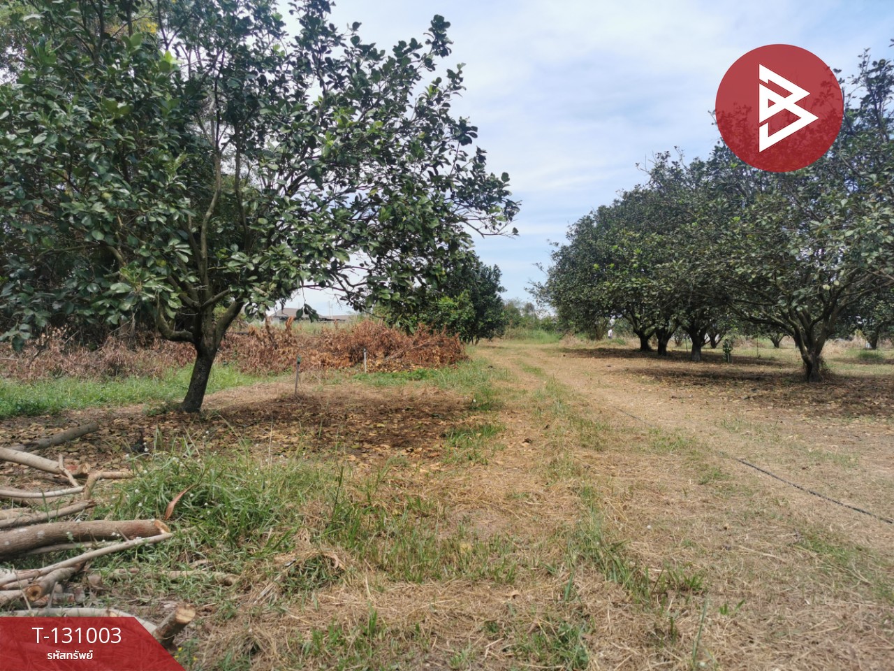 ขายที่ดิน เนื้อที่ 4 ไร่ 3 งาน 77 ตร.วา ศรีมหาโพธิ ปราจีนบุรี 3