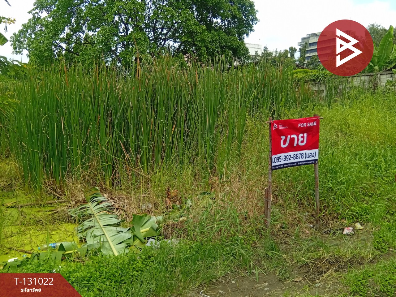 ขายที่ดิน เนื้อที่ 1 งาน 34 ตร.วา ภาษีเจริญ กรุงเทพมหานคร 1