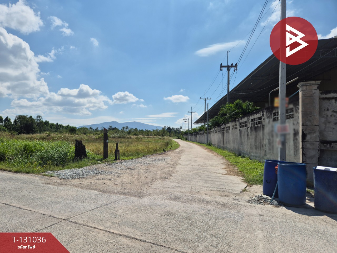 ขายที่ดิน เนื้อที่ 3 ไร่ 2 งาน 36.8 ตร.วา บ้านบึง ชลบุรี 7