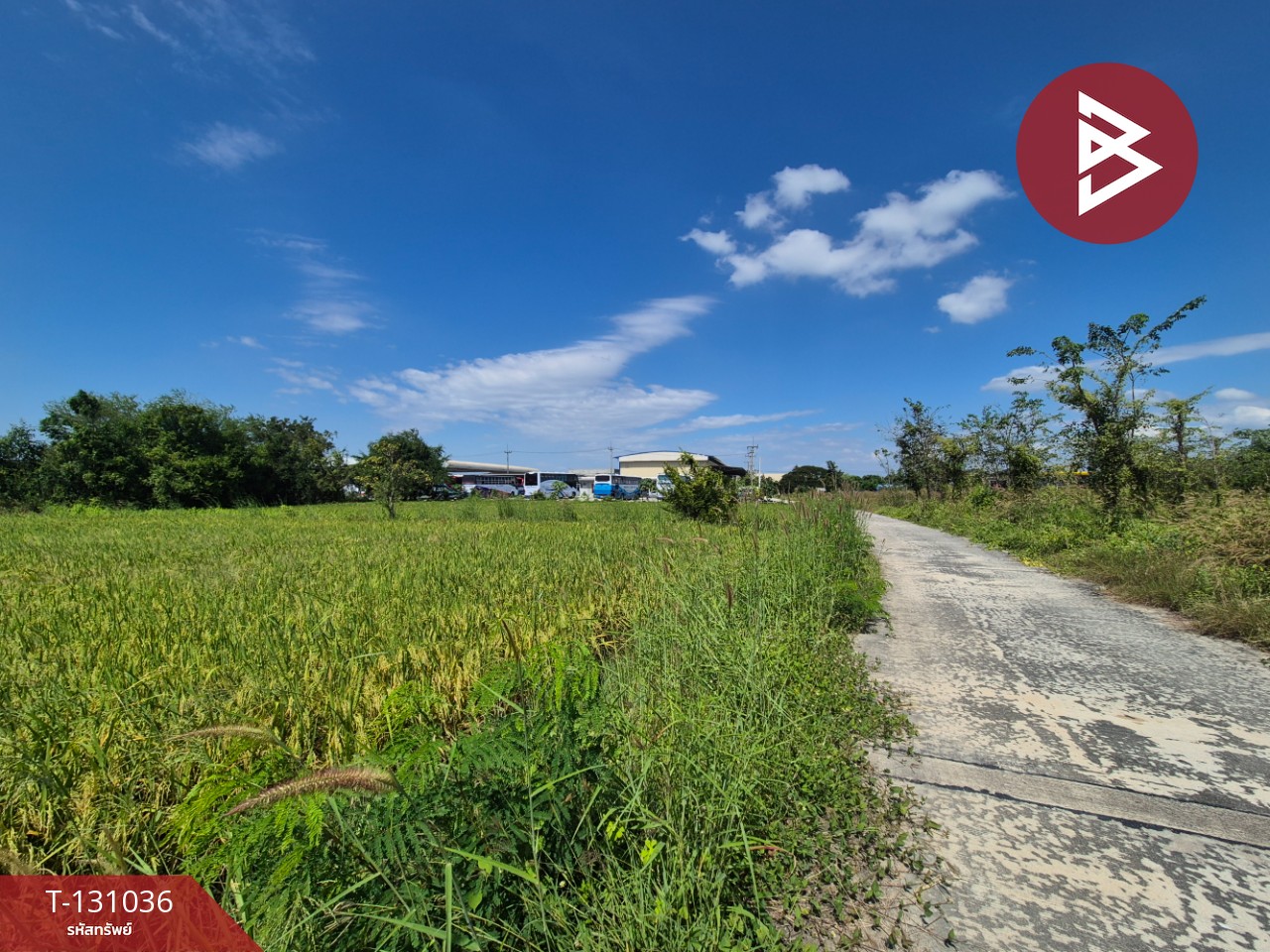 ขายที่ดิน เนื้อที่ 3 ไร่ 2 งาน 36.8 ตร.วา บ้านบึง ชลบุรี 4
