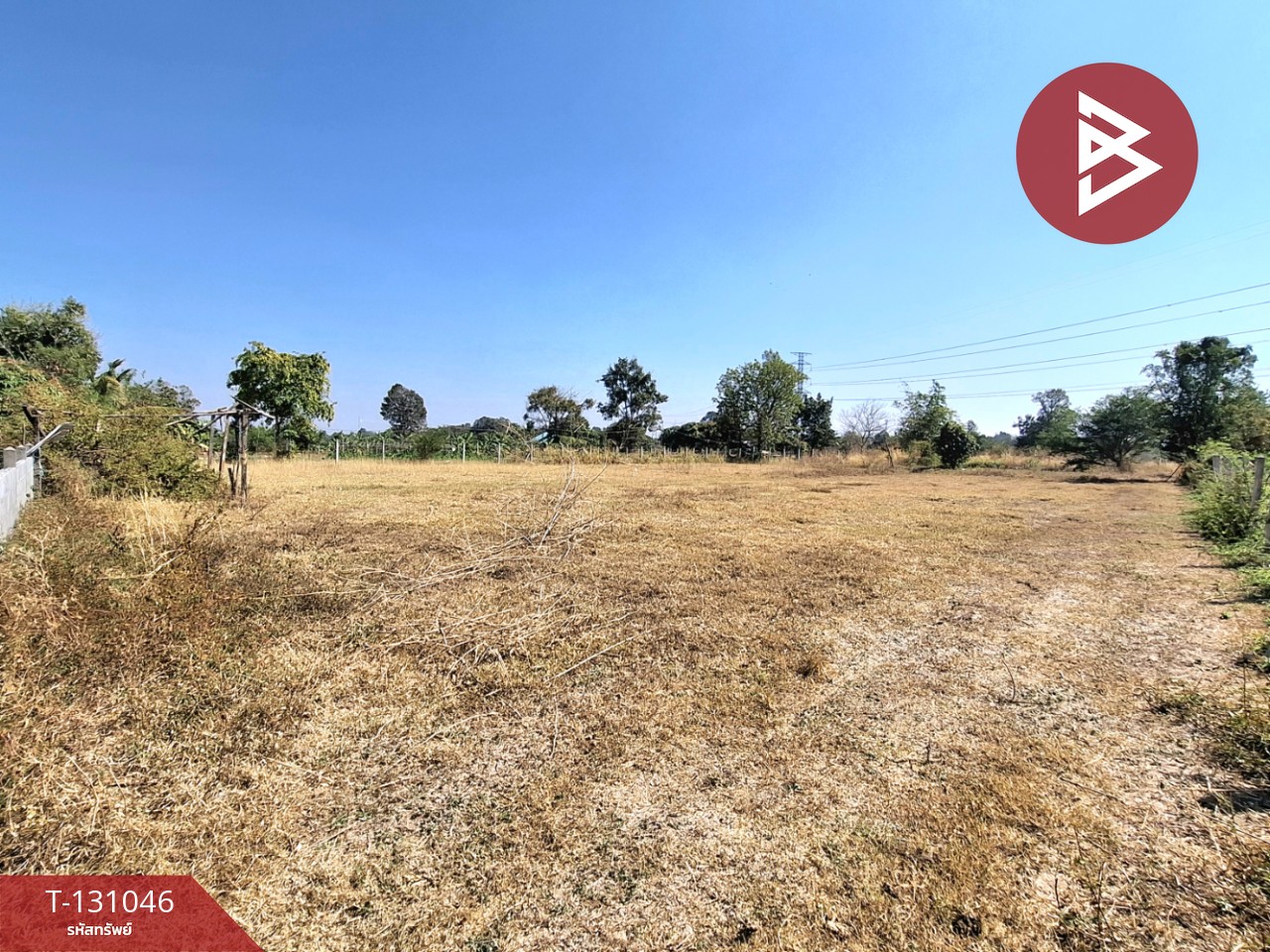 ขายที่ดินพร้อมสิ่งปลูกสร้าง เนื้อที่ 3 ไร่ 12 ตร.วา ต.สีแก้ว ร้อยเอ็ด 11