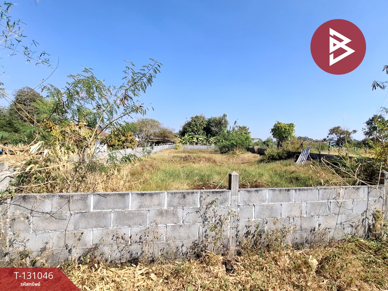 ขายที่ดินพร้อมสิ่งปลูกสร้าง เนื้อที่ 3 ไร่ 12 ตร.วา ต.สีแก้ว ร้อยเอ็ด 10