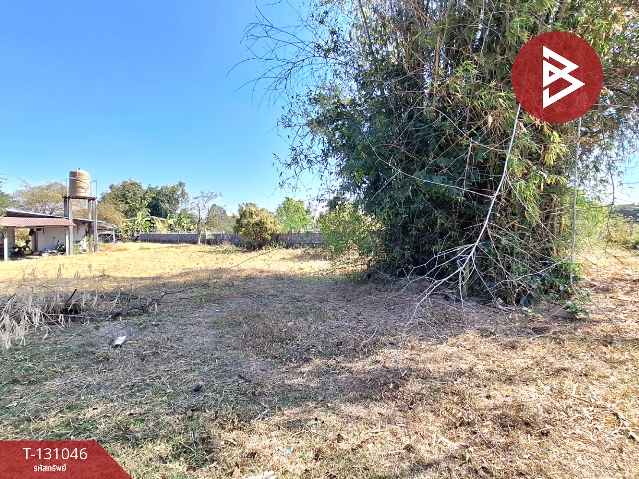 ขายที่ดินพร้อมสิ่งปลูกสร้าง เนื้อที่ 3 ไร่ 12 ตร.วา ต.สีแก้ว ร้อยเอ็ด 7