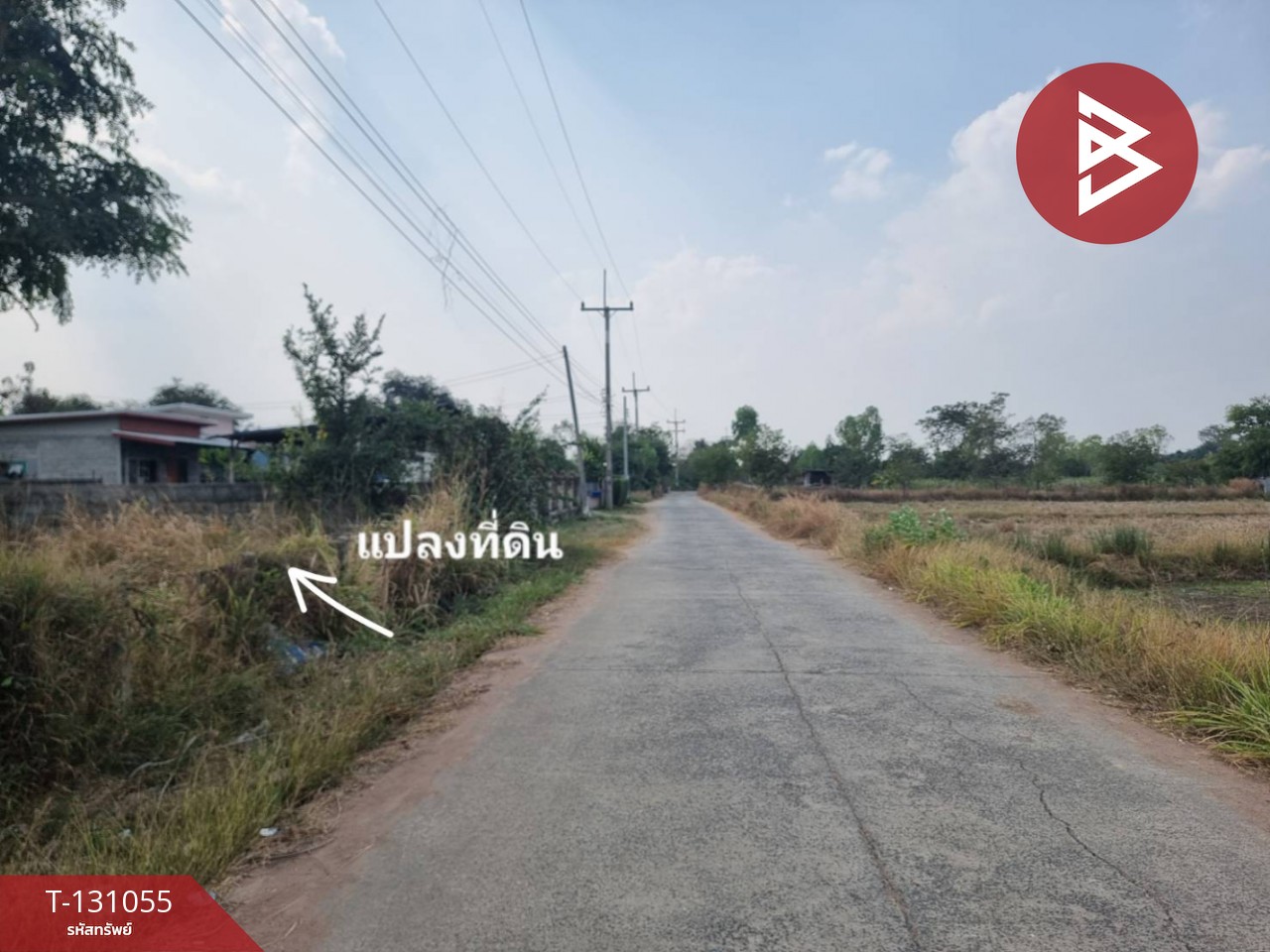 ขายที่ดิน เนื้อที่ 1 ไร่ 5 ตร.วา บ้านโพธิ์ นครราชสีมา 3