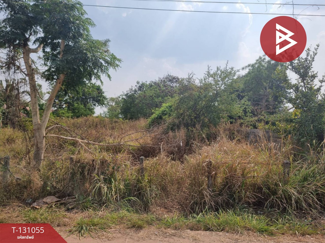 ขายที่ดิน เนื้อที่ 1 ไร่ 5 ตร.วา บ้านโพธิ์ นครราชสีมา 7