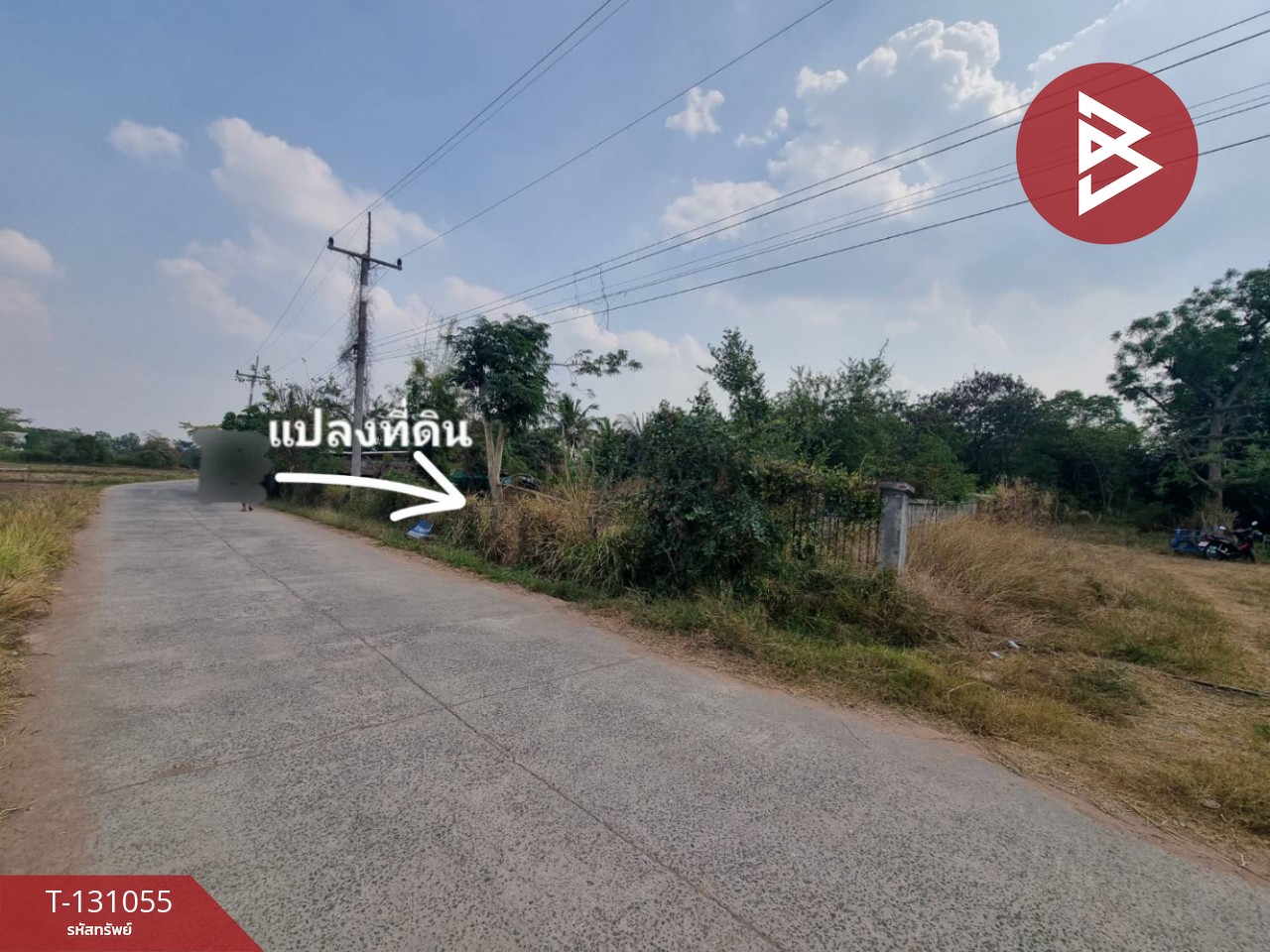 ขายที่ดิน เนื้อที่ 1 ไร่ 5 ตร.วา บ้านโพธิ์ นครราชสีมา 4