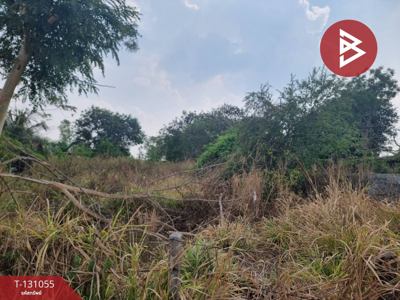 ขายที่ดิน เนื้อที่ 1 ไร่ 5 ตร.วา บ้านโพธิ์ นครราชสีมา 5