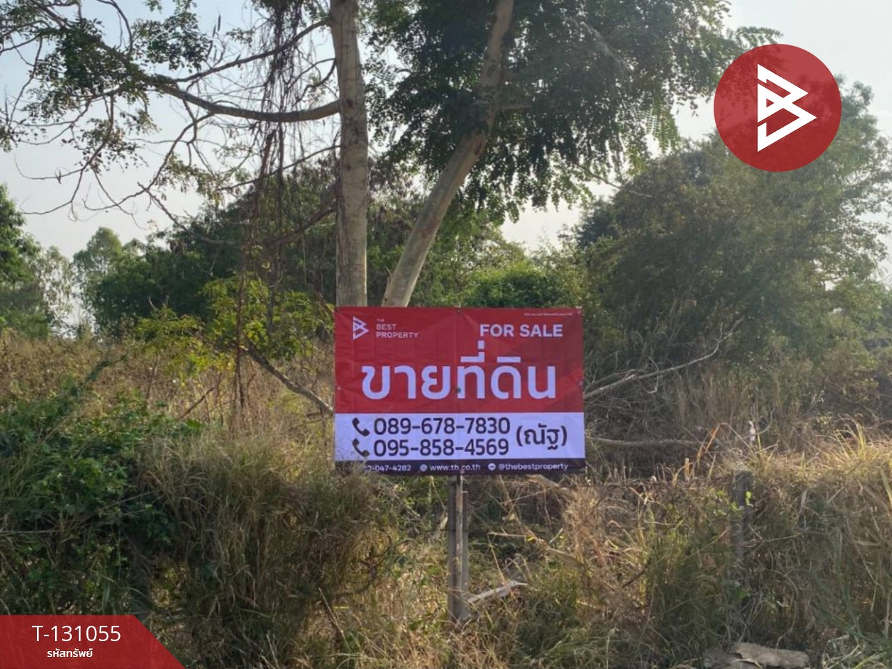 ขายที่ดิน เนื้อที่ 1 ไร่ 5 ตร.วา บ้านโพธิ์ นครราชสีมา 1