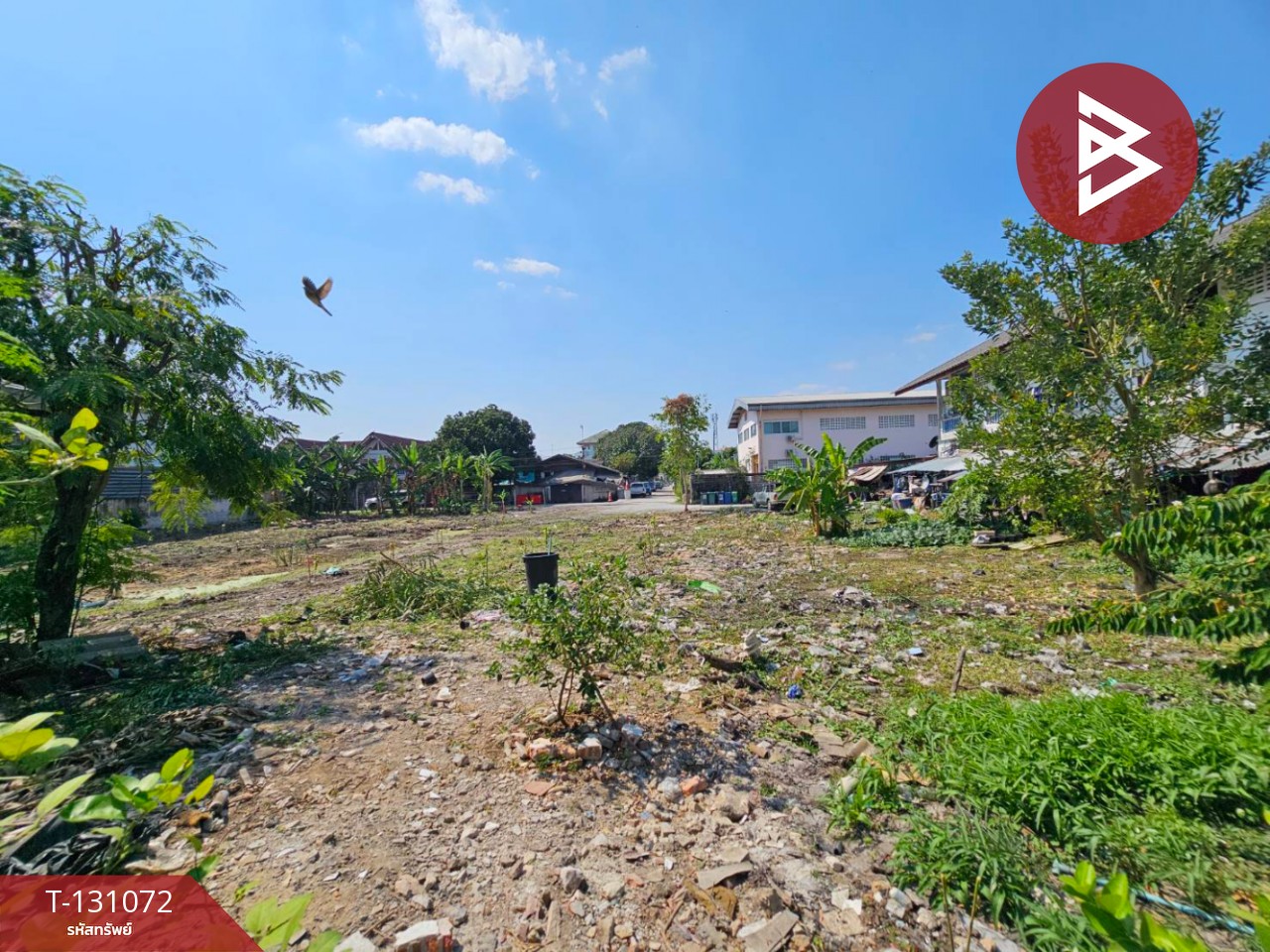 ขายที่ดิน เนื้อที่ 1 ไร่ 59 ตร.วา บางเขน กรุงเทพมหานคร 13