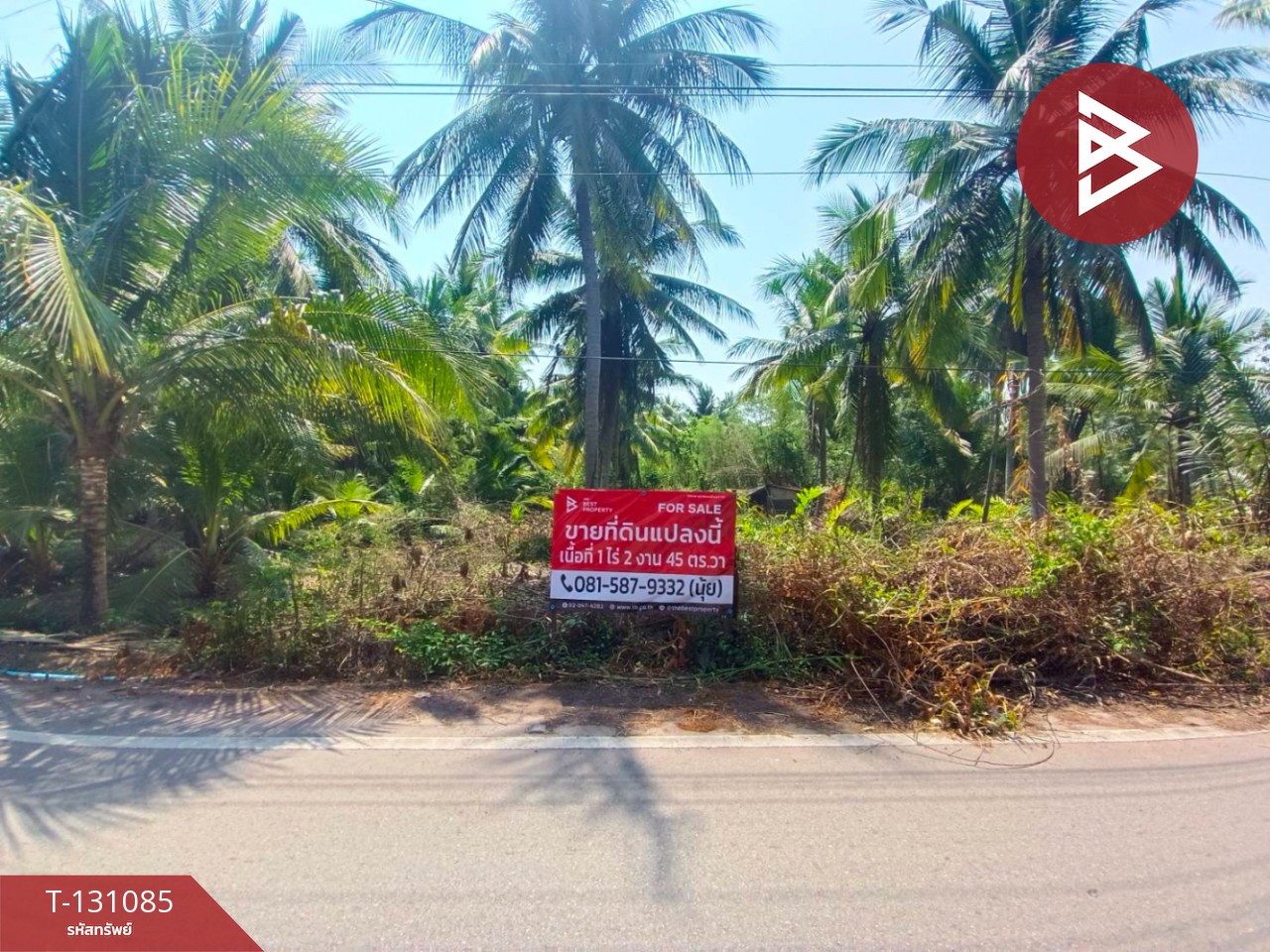 ขายที่ดิน เนื้อที่ 1 ไร่ 2 งาน 45 ตร.วา นางตะเคียน สมุทรสงคราม 1