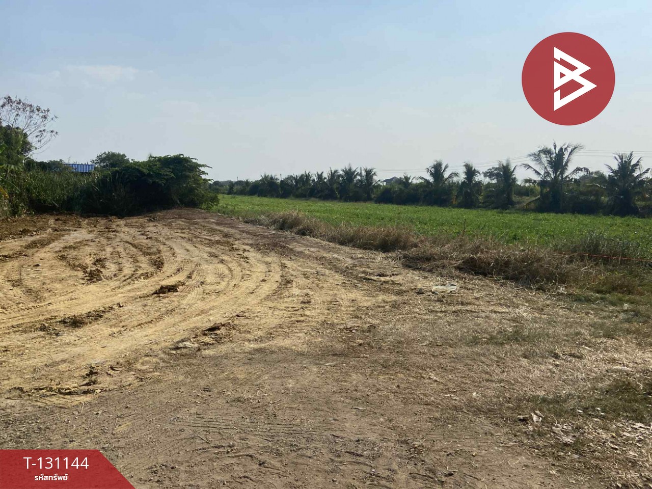 ขายที่ดินจัดสรร เนื้อที่ 98.1 ตารางวา ศาลายาการ์เด้นท์ 20 นครชัยศรี นครปฐม 4