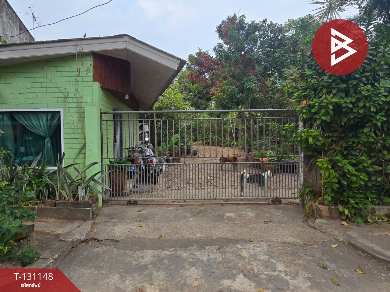 ขายอาคารพาณิชย์ 2 คูหา 2 ชั้นครึ่ง เนื้อที่รวม 337 ตารางวา พลงช้างเผือก แกลง ระยอง 13