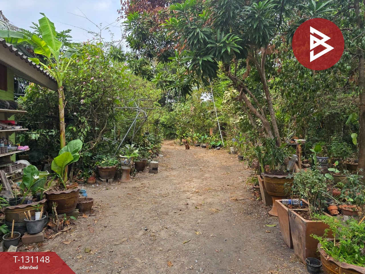 ขายอาคารพาณิชย์ 2 คูหา 2 ชั้นครึ่ง เนื้อที่รวม 337 ตารางวา พลงช้างเผือก แกลง ระยอง 9