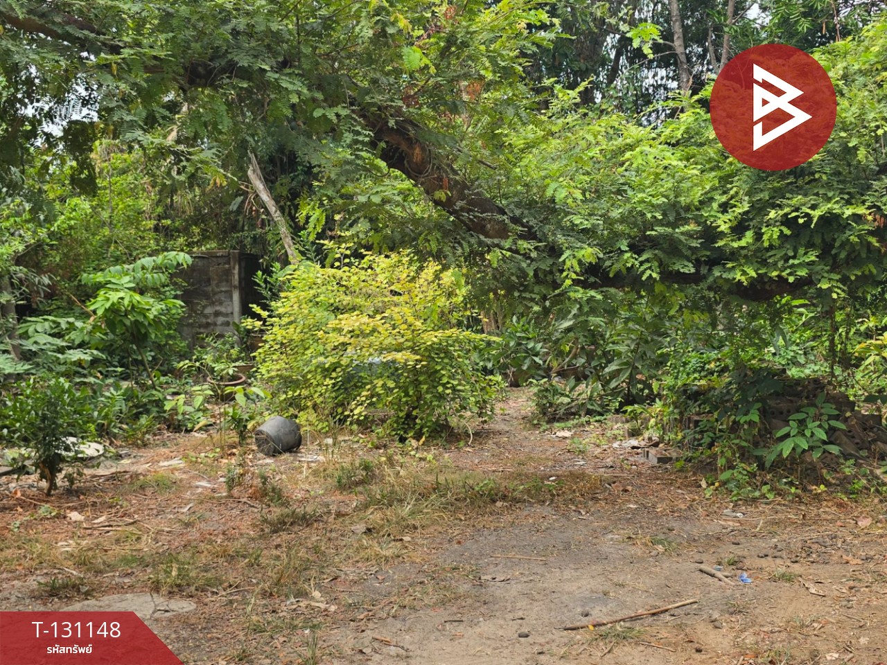 ขายอาคารพาณิชย์ 2 คูหา 2 ชั้นครึ่ง เนื้อที่รวม 337 ตารางวา พลงช้างเผือก แกลง ระยอง 12