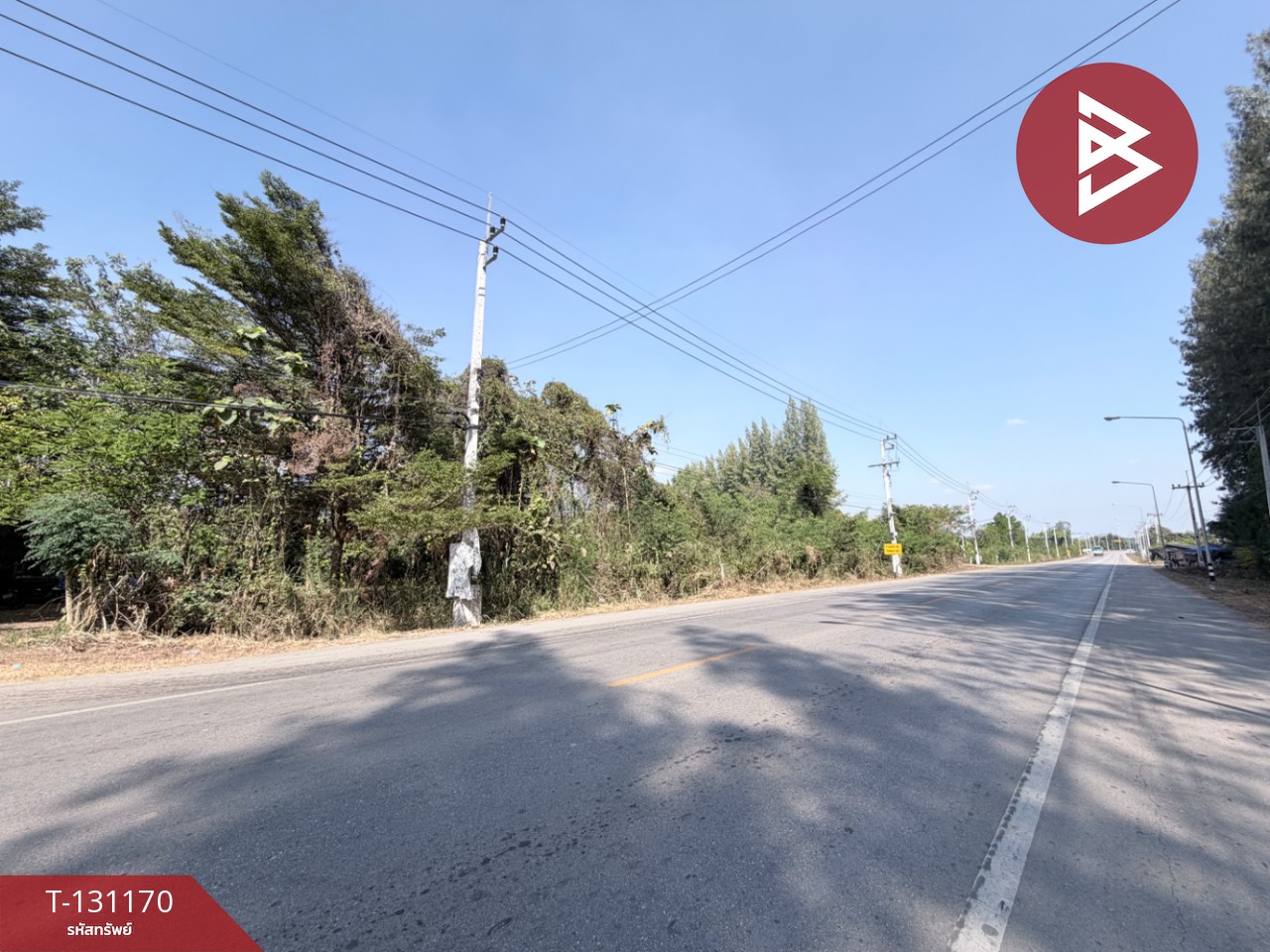 ขายที่ดิน เนื้อที่ 46 ไร่ 3 งาน 74 ตารางวา ปากท่อ ราชบุรี 11