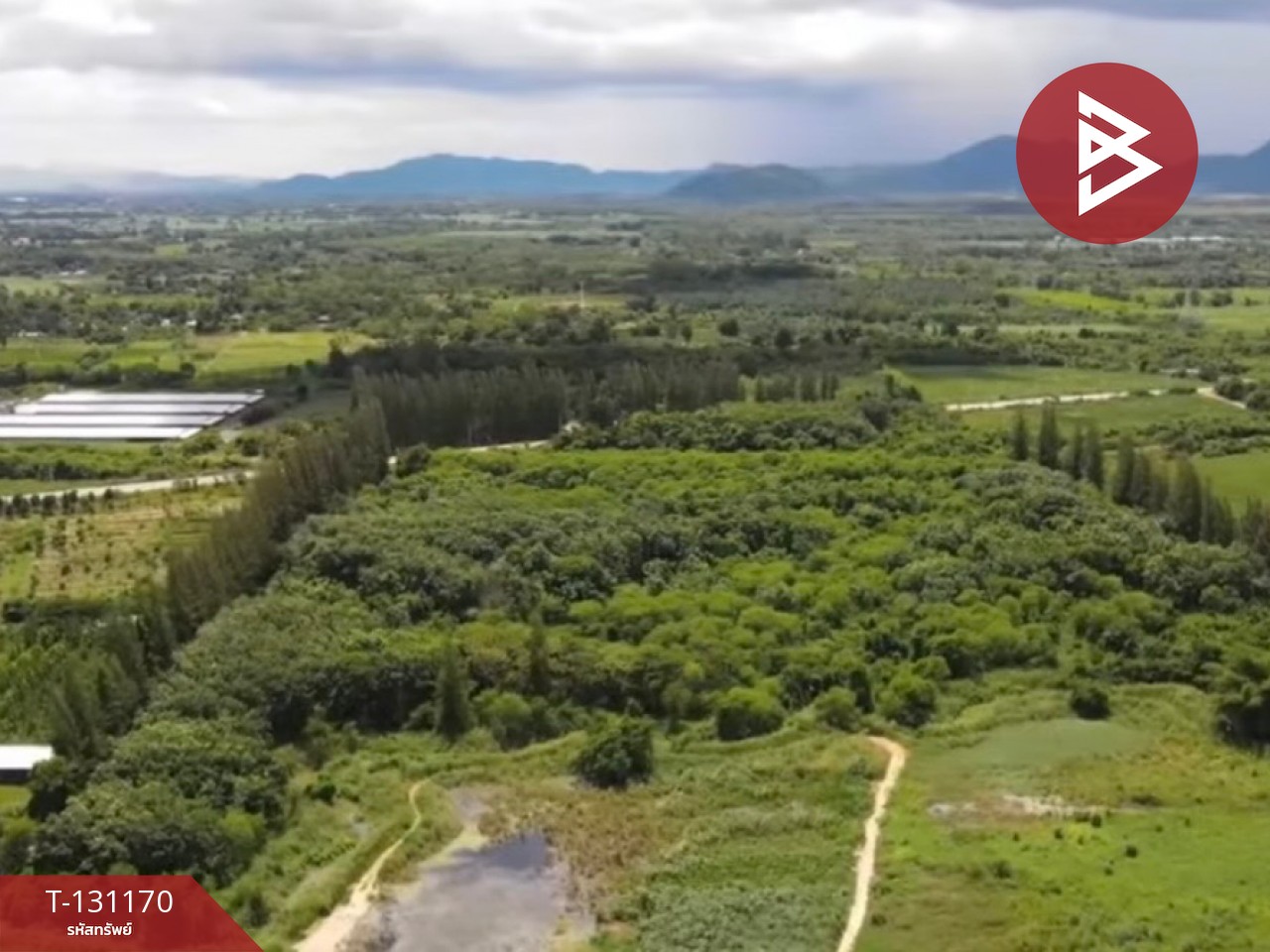 ขายที่ดิน เนื้อที่ 46 ไร่ 3 งาน 74 ตารางวา ปากท่อ ราชบุรี 1