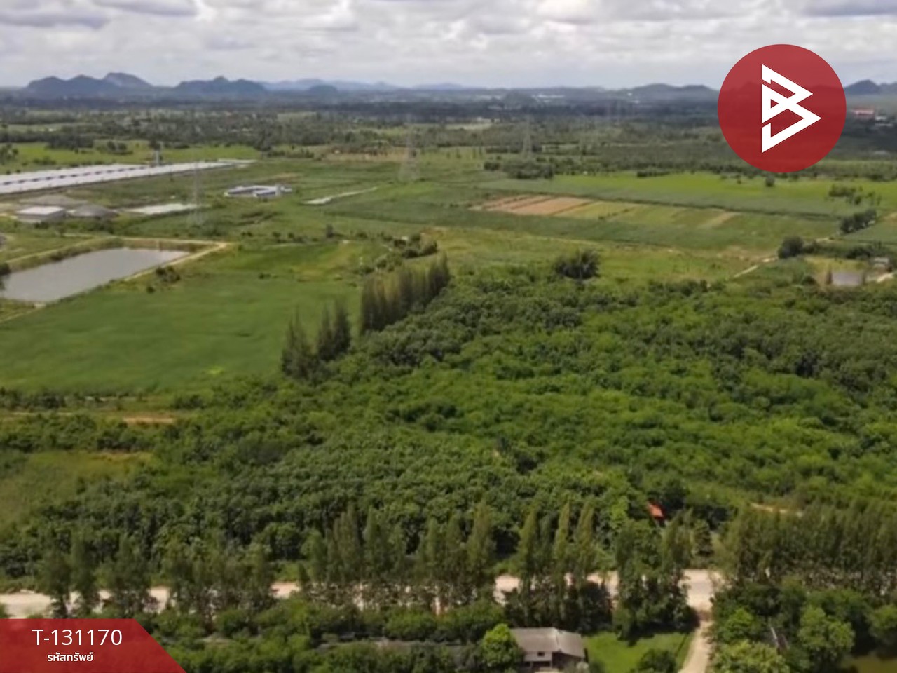 ขายที่ดิน เนื้อที่ 46 ไร่ 3 งาน 74 ตารางวา ปากท่อ ราชบุรี 3