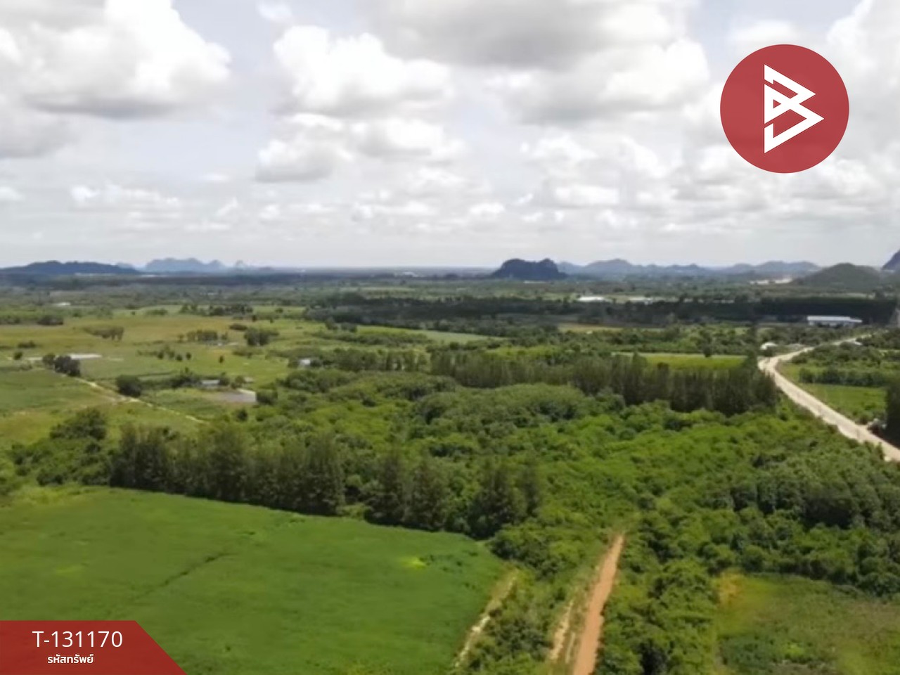 ขายที่ดิน เนื้อที่ 46 ไร่ 3 งาน 74 ตารางวา ปากท่อ ราชบุรี 2